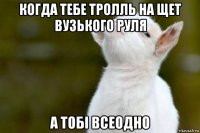 когда тебе тролль на щет вузького руля а тобі всеодно