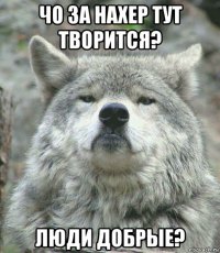 чо за нахер тут творится? люди добрые?