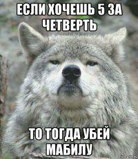 если хочешь 5 за четверть то тогда убей мабилу