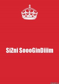 SiZni SoooGinDiiim