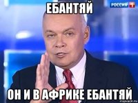 ебантяй он и в африке ебантяй