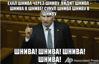 ехал шнива через шниву, видит шнива - шнива в шниве! сунул шнива шниву в шниву шнива! шнива! шнива! шнива!