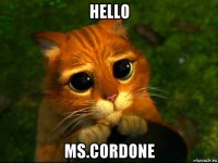 hello ms.cordone