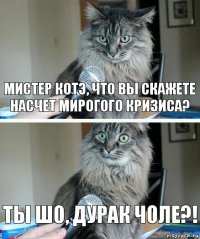 Мистер котэ, что вы скажете насчет мирогого кризиса? Ты шо, дурак чоле?!