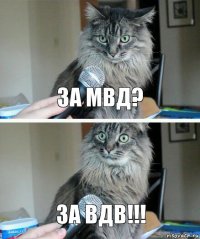 ЗА МВД? ЗА ВДВ!!!