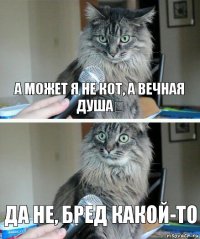 а может я не кот, а вечная душа？ да не, бред какой-то