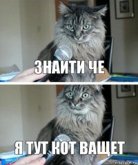 Знаити че Я тут кот ващет