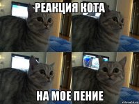 реакция кота на мое пение