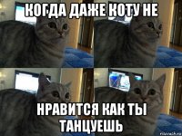 когда даже коту не нравится как ты танцуешь