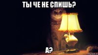 ты че не спишь? а?