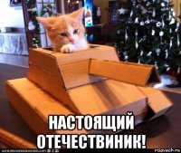  настоящий отечествиник!