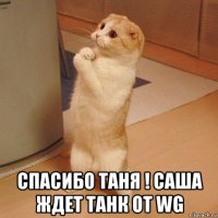  спасибо таня ! саша ждет танк от wg