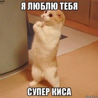 я люблю тебя супер киса