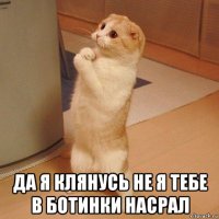  да я клянусь не я тебе в ботинки насрал