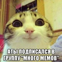  аты подписался в группу "много мемов"