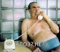 Алоэ? не?