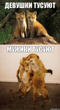 девушки тусуют мужики тусуют