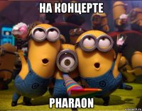 на концерте pharaon