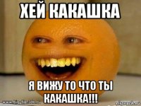 хей какашка я вижу то что ты какашка!!!