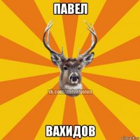 павел вахидов