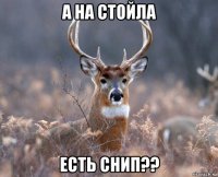 а на стойла есть снип??