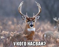  у кого насвай?