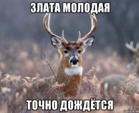 злата молодая точно дождётся