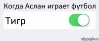 Когда Аслан играет футбол Тигр 