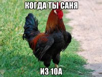 когда ты саня из 10а