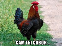  сам ты совок