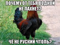 почему от тебя водкой не пахнет? чё не руский чтоль?