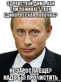 здравствуй дима, как там поживает твоя единоросская попочка? не заросла ещё? надо бы прочистить