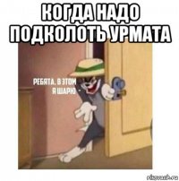 когда надо подколоть урмата 