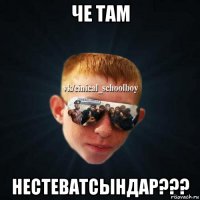 че там нестеватсындар???