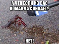 а что если из вас команда сливает? нет!