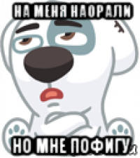 на меня наорали но мне пофигу