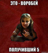 это - воробей получивший 5