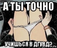 а ты точно учишься в дгувд?