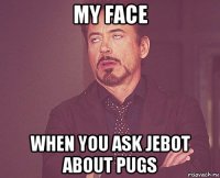 my face when you ask jebot about pugs