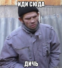 иди сюда дичь