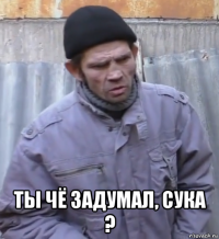  ты чё задумал, сука ?