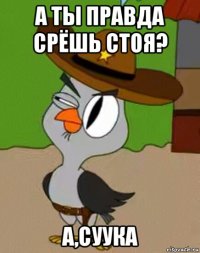 а ты правда срёшь стоя? а,суука