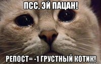 псс, эй пацан! репост= -1 грустный котик!