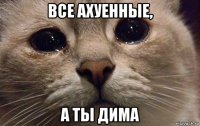 все ахуенные, а ты дима