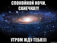 спокойной ночи, санечка!!! утром жду тебя)))