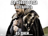 до нового года осталось 85 дней.....