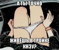 а ты точно живёшь в тройке кнэу?