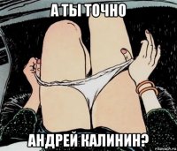 а ты точно андрей калинин?