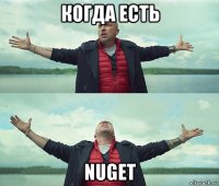 когда есть nuget