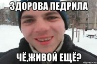 здорова педрила чё,живой ещё?